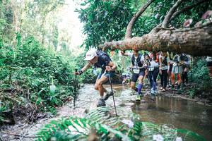 BIB: 
                            <button type="button" onclick="openModal(25468515)" class="btn btn-primary btn-sm float-right btn-popup" data-toggle="modal" data-target=".modal-high-quality">
                        <i class="fas fa-shopping-cart"></i> Add to Cart
                    </button>
                                            <button type="button" onclick="isThisMe(25468515, true)" class="btn btn-success btn-sm float-right btn-popup btn-isme hidden" data-toggle="tooltip" data-placement="bottom" title="นี่คือรูปของคุณใช่ไหม คลิกที่นี่เพื่อเอาเข้าอัลบั้ม">
                        <i class="fas fa-plus"></i> Add to album
                    </button>
                    <button type="button" onclick="isThisMe(25468515, false)" class="btn btn-warning btn-sm float-right btn-popup btn-isnotme hidden">
                        <i class="fas fa-ban"></i> Remove from album
                    </button>